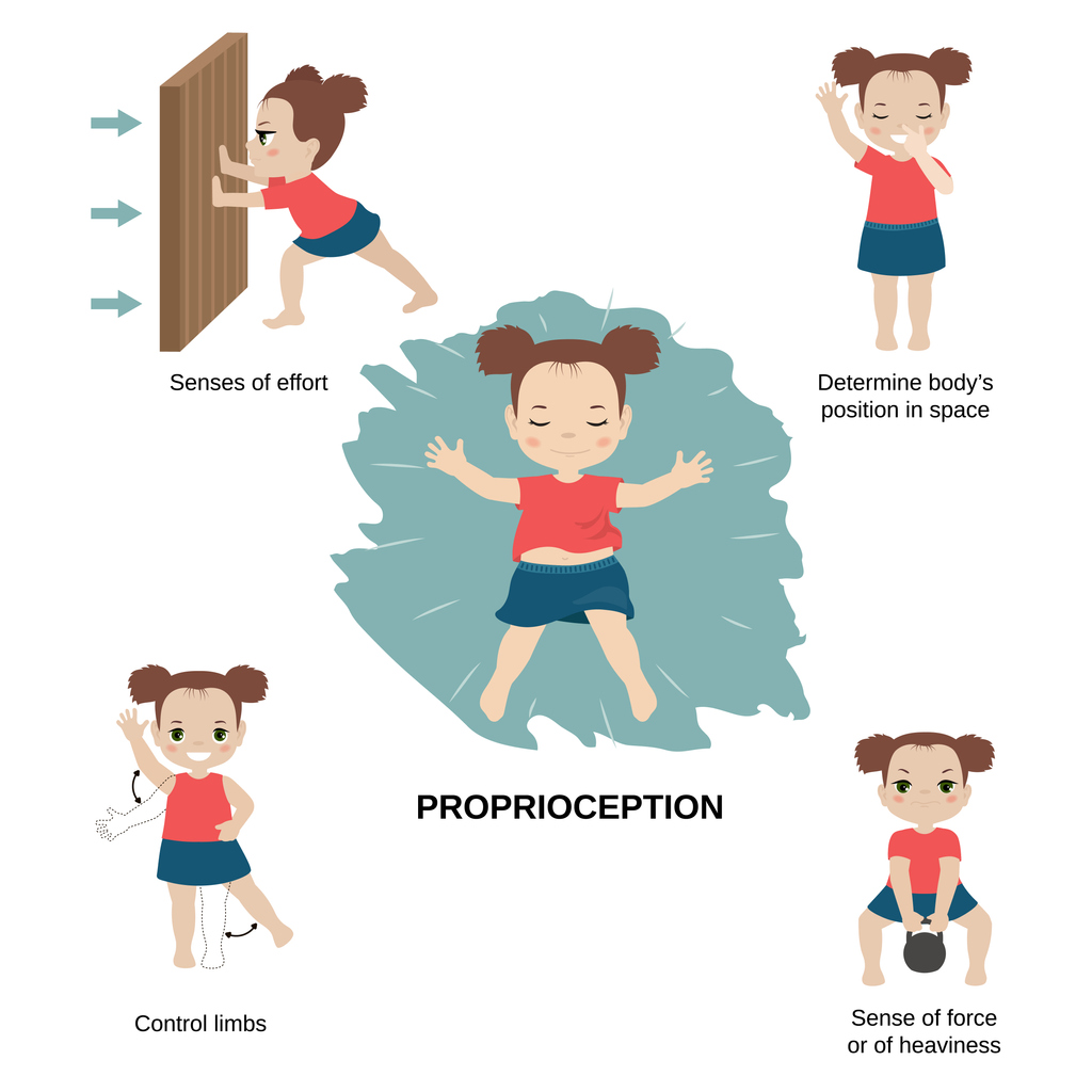 proprioception system